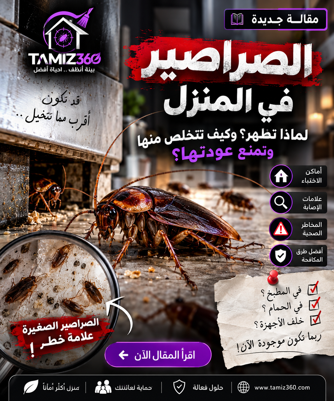 الصراصير في المنزل: لماذا تظهر وكيف تتخلص منها وتمنع عودتها؟