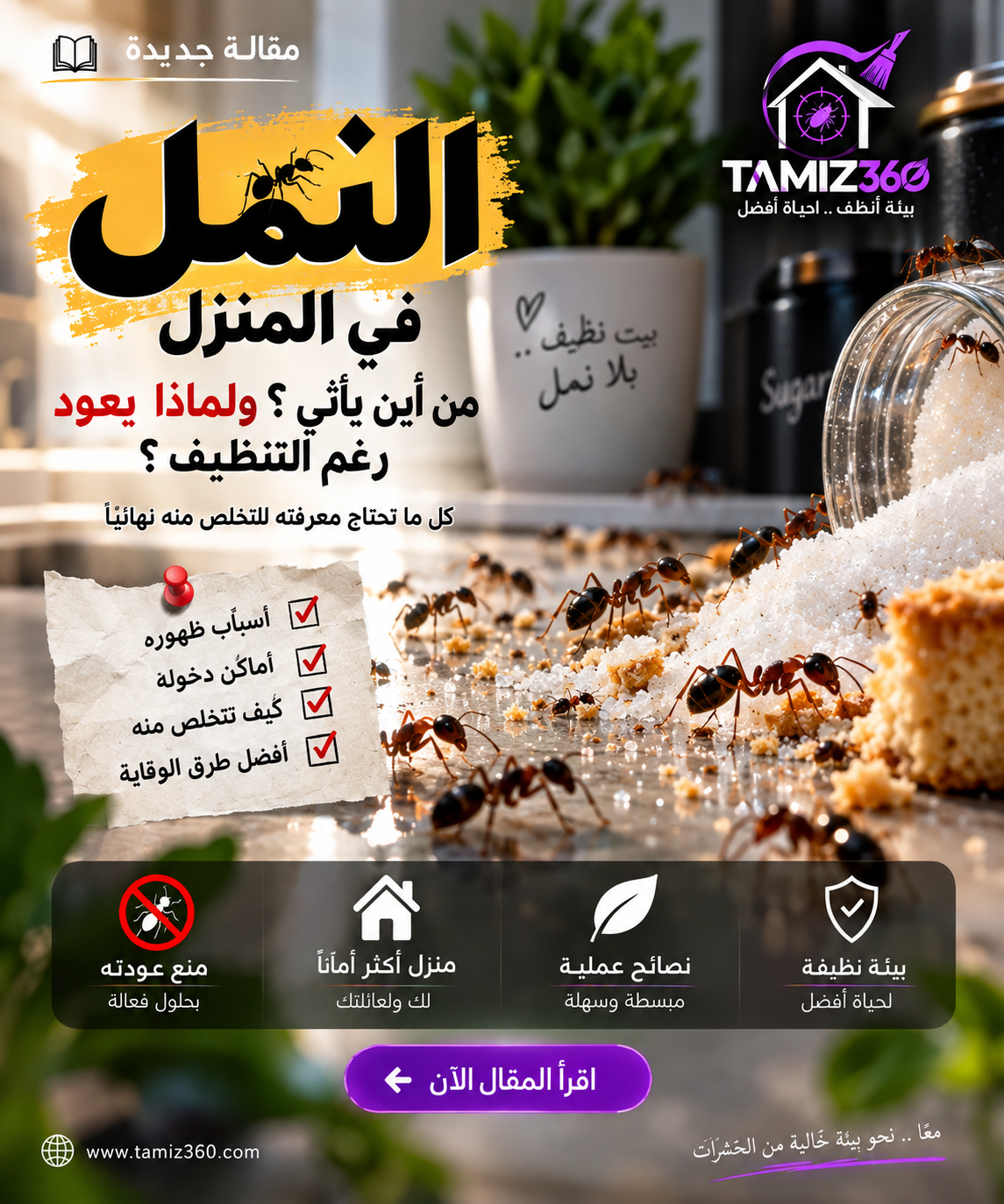 النمل في المنزل: من أين يأتي؟ ولماذا يعود رغم التنظيف؟