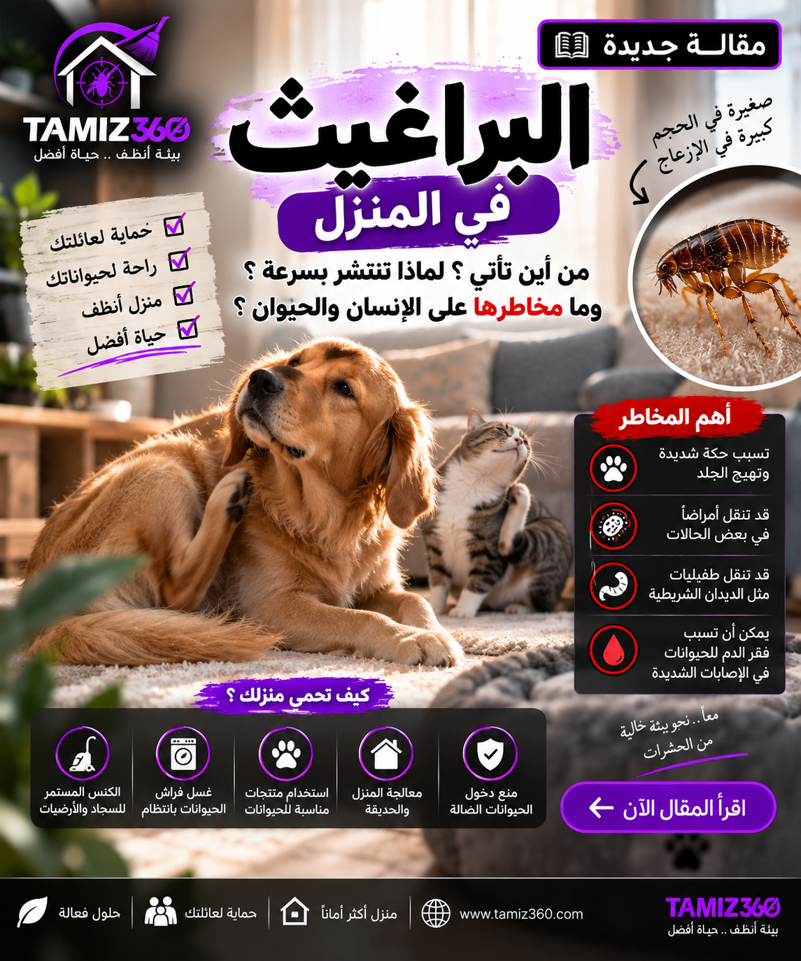 البراغيث في المنزل: من أين تأتي؟ لماذا تنتشر بسرعة؟ وما مخاطرها على الإنسان والحيوان؟