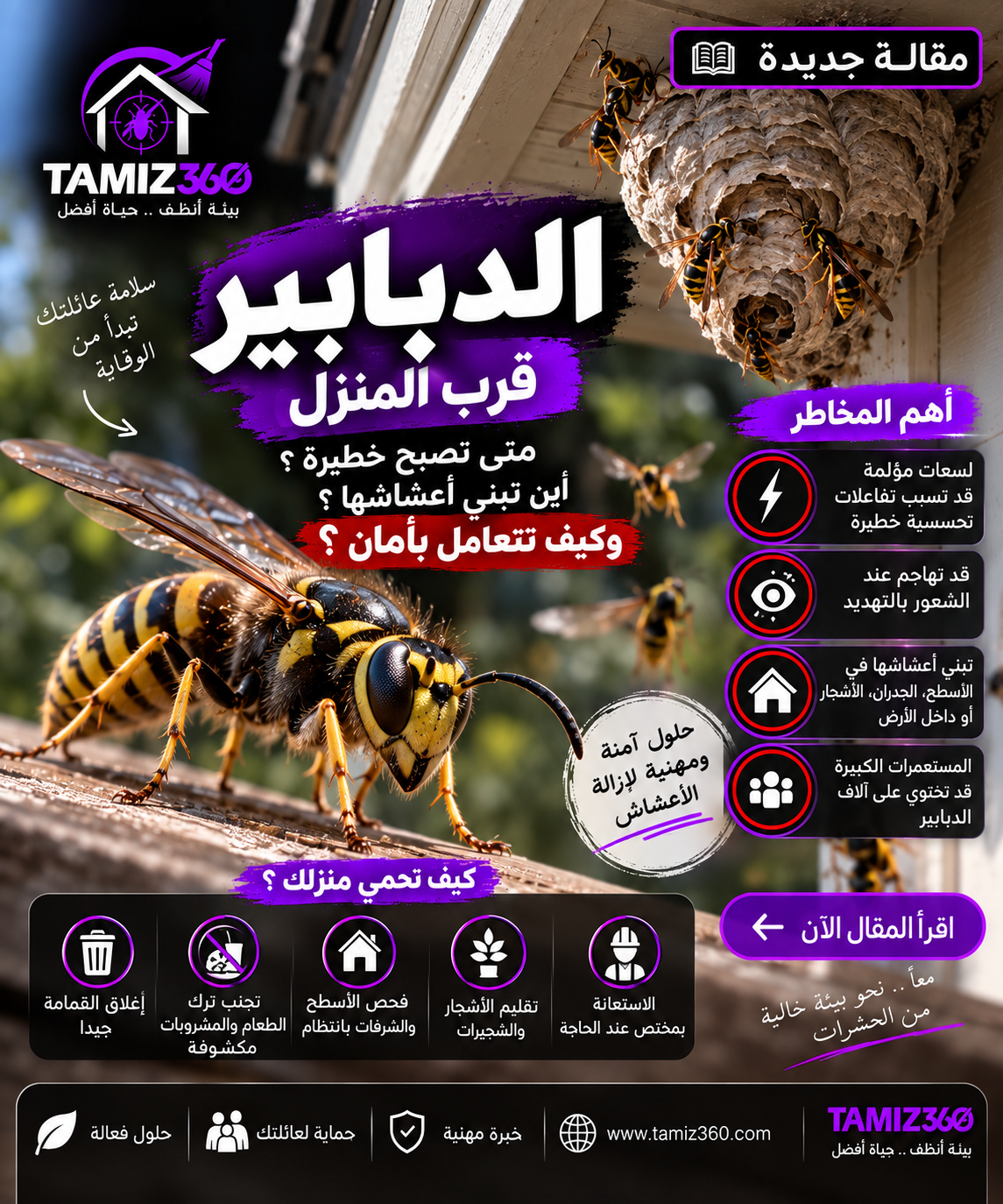 الدبابير قرب المنزل: متى تصبح خطيرة؟ أين تبني أعشاشها وكيف تتصرف بأمان؟