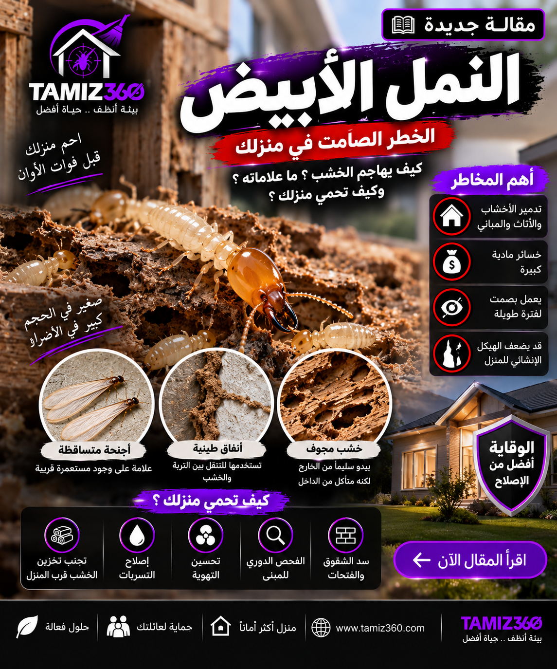 النمل الأبيض في المنزل: كيف يهاجم الخشب بصمت؟ وما العلامات التي تكشفه قبل أن يسبب خسائر كبيرة؟