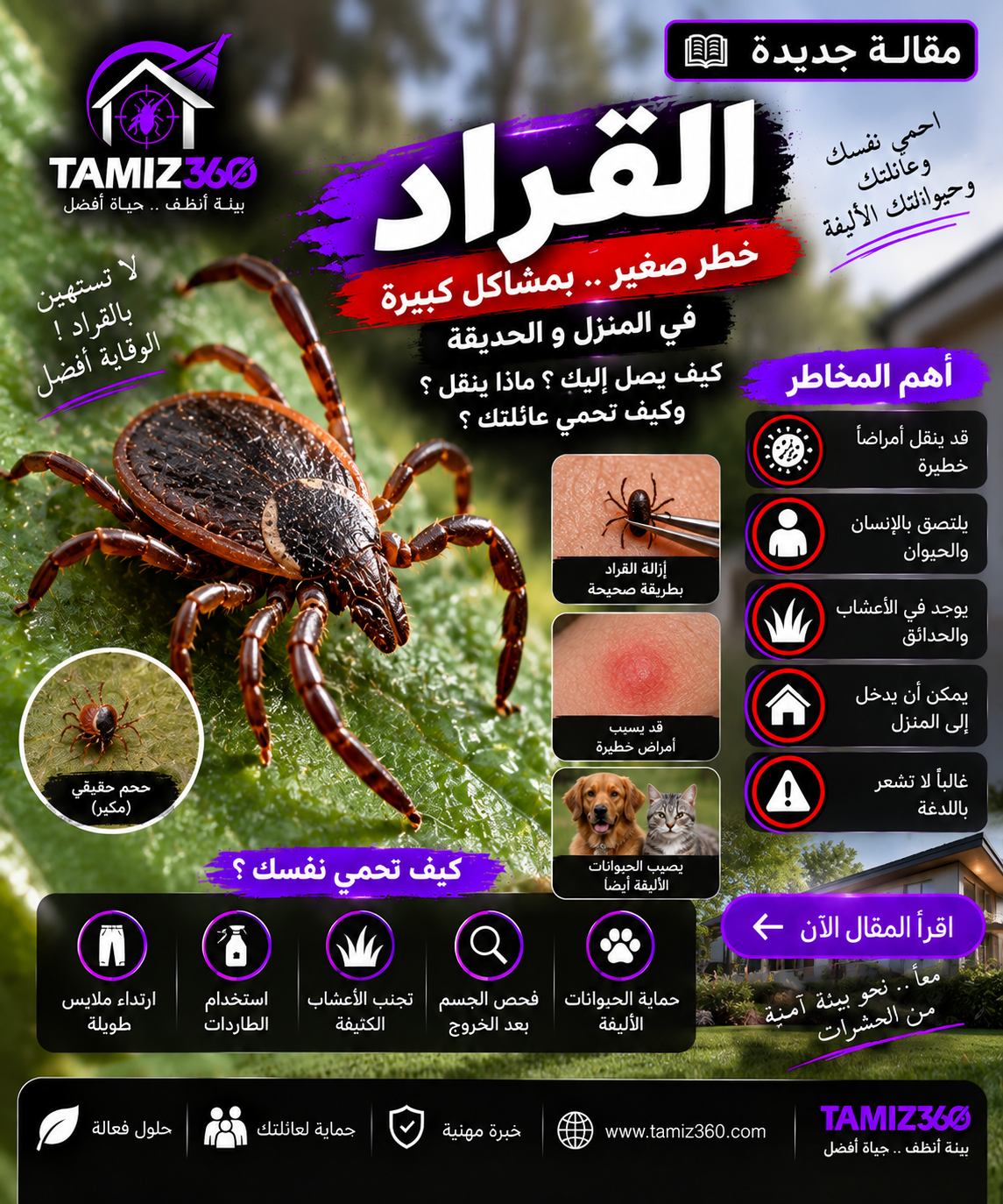 القراد في المنزل والحديقة: كيف يصل إليك؟ وما مخاطره على الإنسان والحيوان وكيف تحمي عائلتك؟