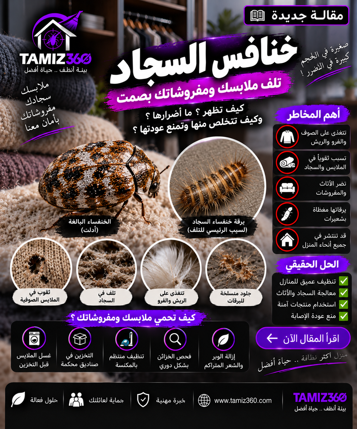 خنافس السجاد في المنزل: كيف تتلف الملابس والمفروشات بصمت؟ وكيف تفرق بينها وبين عث الملابس؟