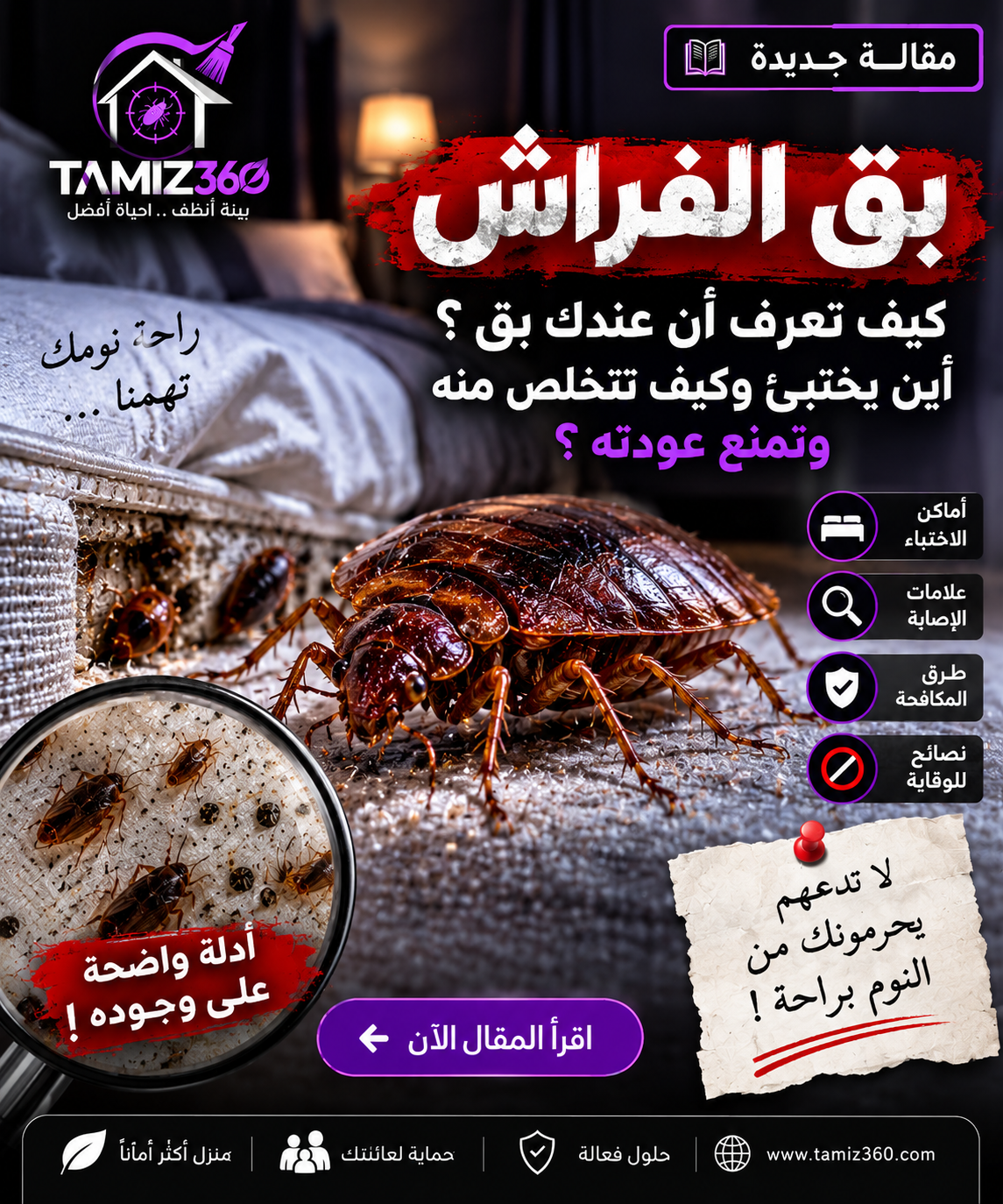 سوس الخشب وخنافس الخشب في المنزل: كيف تعرف أن الأثاث أو الخشب مصاب قبل أن يتلف من الداخل؟