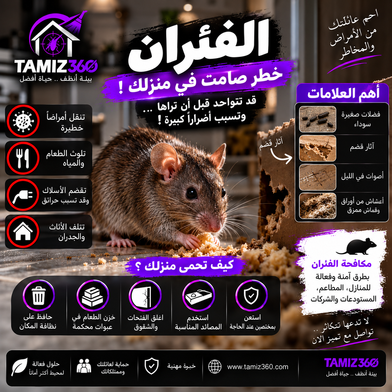 الفئران في المنزل: كيف تعرف بوجودها قبل أن تراها؟ وما مخاطرها وكيف تتخلص منها وتمنع عودتها؟