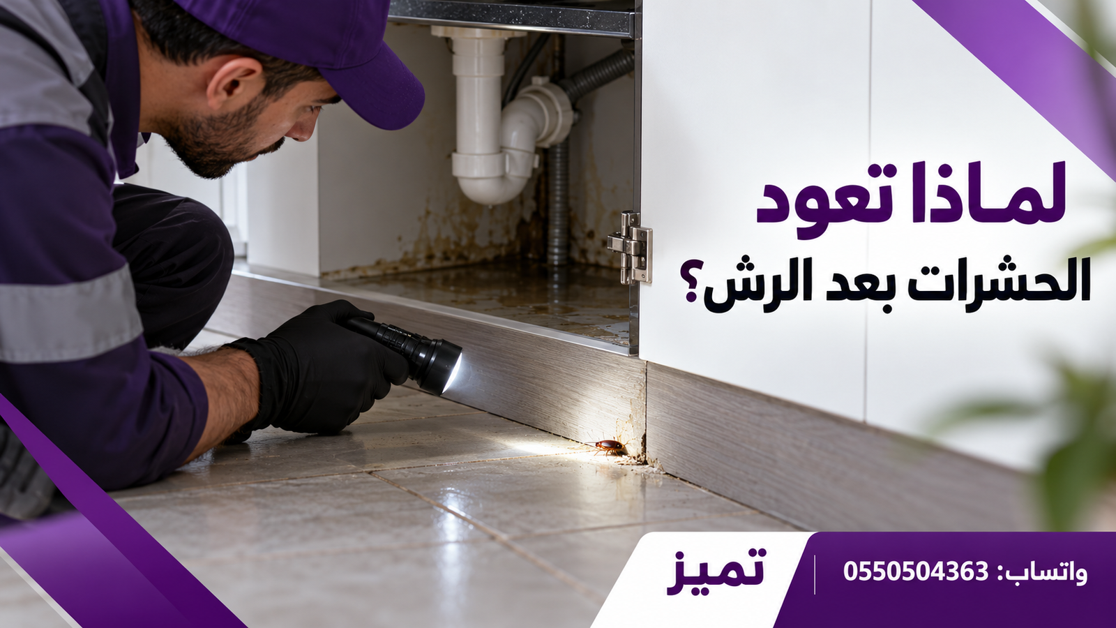 لماذا تعود الحشرات بعد الرش؟