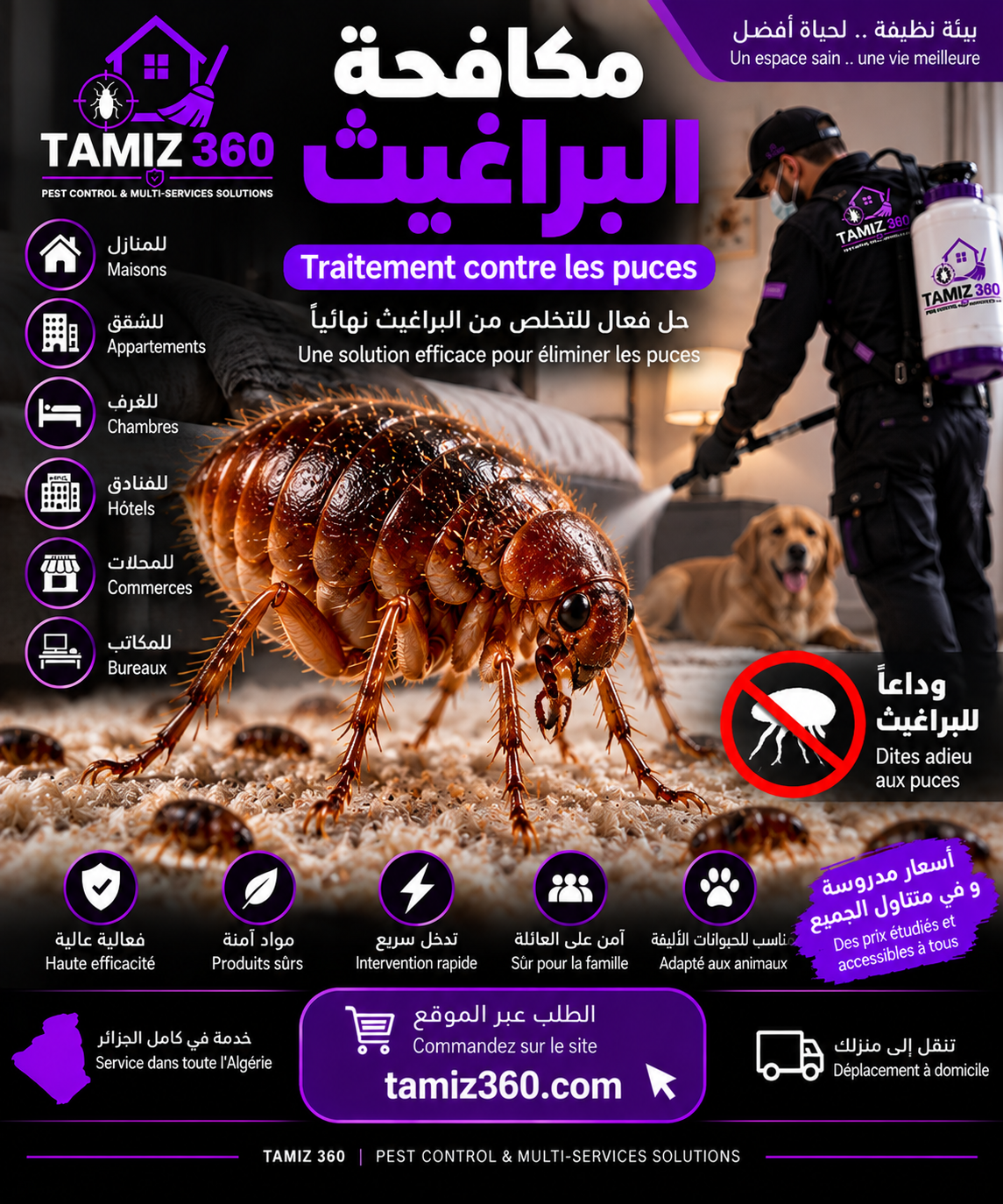 صورة الخدمة