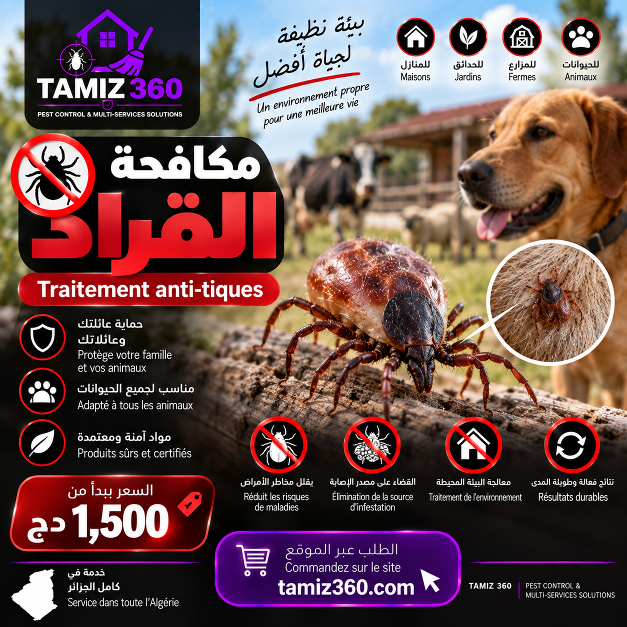 مكافحة القراد | Traitement anti-tiques