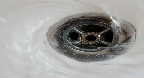 صورة الخدمة