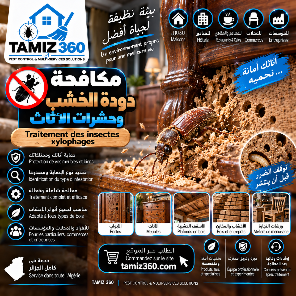 مكافحة دودة الخشب وحشرات الأثاث | Traitement des insectes xylophages