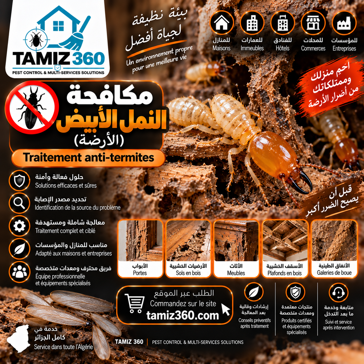 مكافحة النمل الأبيض (الأرضة) | Traitement anti-termites