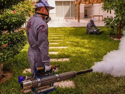 صورة الخدمة
