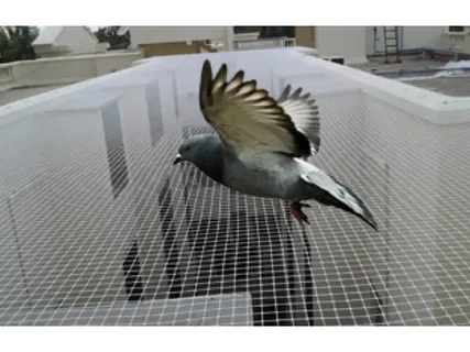 صورة الخدمة