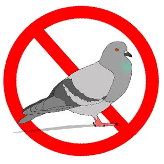 صورة الخدمة