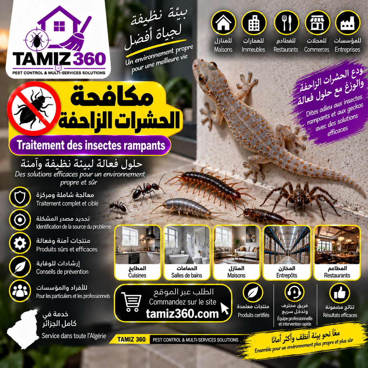 مكافحة الحشرات الزاحفة | Traitement des insectes rampants