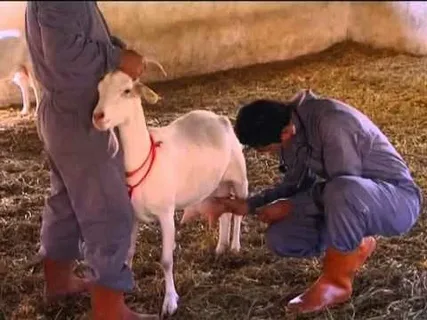 صورة الخدمة