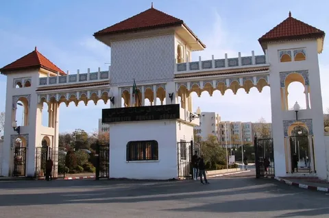 صورة الخدمة