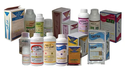 صورة الخدمة