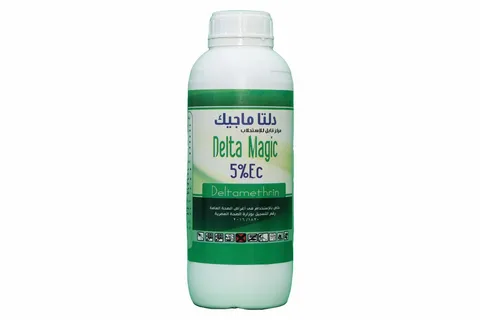 صورة الخدمة