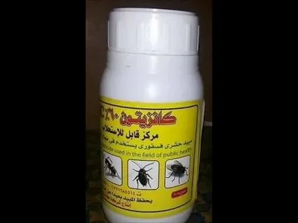 صورة الخدمة