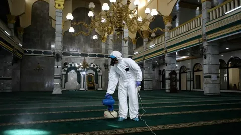 صورة الخدمة
